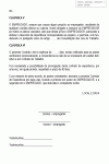 Miniatura do documento