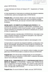 Miniatura do documento