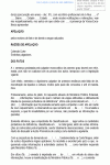 Miniatura do documento