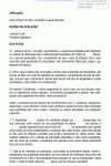 Miniatura do documento