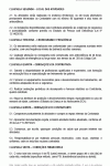 Miniatura do documento