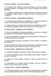 Miniatura do documento