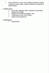 Miniatura do documento