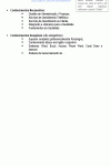 Miniatura do documento