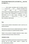 Petição Padrão Inicial de Alimentos Gravídicos CPC