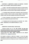Miniatura do documento
