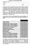 Processo da Qualidade Padrão para Formulário de Pesquisa de Clima Organizacional