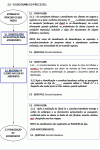 Miniatura do documento