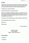 Miniatura do documento