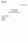 Miniatura do documento