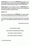 Miniatura do documento