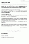 Miniatura do documento