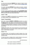 Modelo de Contrato Instrumento Particular de Transferência de Responsabilidade sobre Veículo Automotor