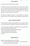 Miniatura do documento