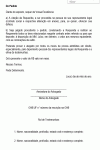 Miniatura do documento