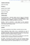 Miniatura do documento