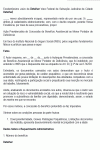 Petição Padrão Inicial de Concessão de Benefício Assistencial ao Menor Portador de Deficiência