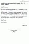 Modelo de Termo de Pedido de Prorrogação de Prazo para Juntada de Procuração