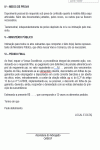 Miniatura do documento