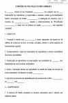 Modelo de Convênio em Parceria com Governo Estadual e ONGs Internacionais 