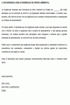 Miniatura do documento