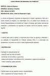 Modelo de Laudo Técnico de Conformidade com Normas de Segurança em Equipamentos e Uso de EPIs