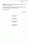 Miniatura do documento