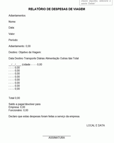 Modelo de Relatório de Fixação de Despesas de Viagem