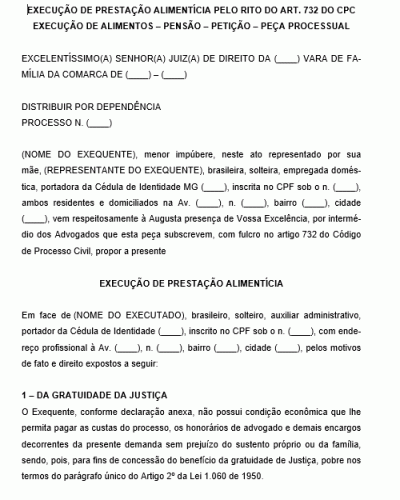 Modelo de Petição Ação de Execução Pensão Alimentícia