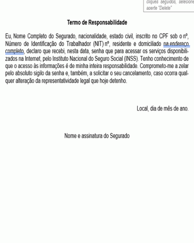 Modelo de Petição Termo de Responsabilidade pelo Cadastramento de Senha para Acesso ao CNIS pelo site do INSS