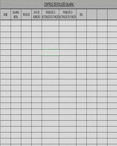 Modelo de Planilha Excel de Controle de Evolução Salarial