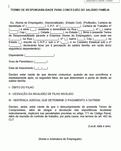 Referência Para Um Termo De Responsabilidade Para Concessão De Salário