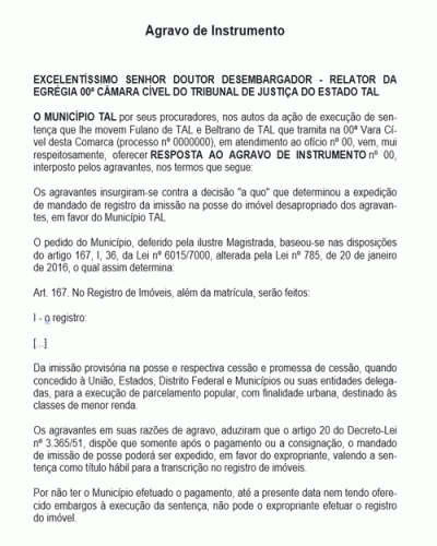 Exemplo de Agravo de Instrumento