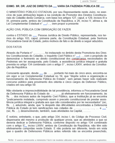 Modelo de Termo de Ação para Realização de Concurso para Defensor Público