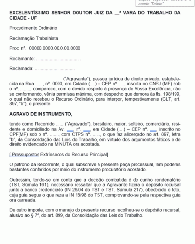 Modelo de Termo de Agravo de Instrumento Recurso Ordinário Intempestivo Reclamada