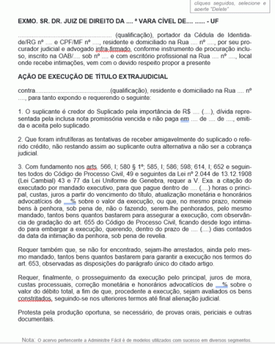 Modelo de Termo de Ação de Execução de Título Extrajudicial Nota Promissória