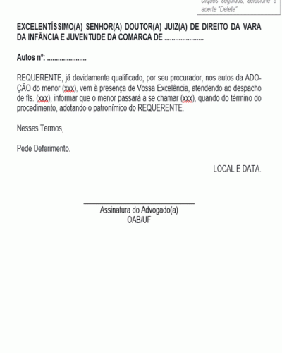 Modelo de Termo de Ação de Adoção Patronímico do Adotante