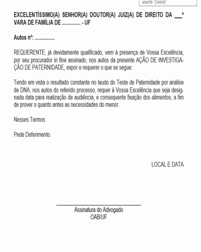 Modelo de Termo de Ação de Investigação de Paternidade Pedido de Designação de Data de Audiência