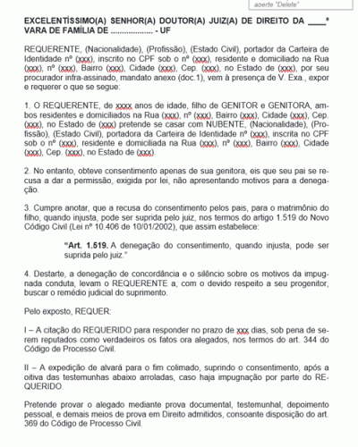 Modelo de Termo de Ação de Pedido de Suprimento de Autorização de Casamento