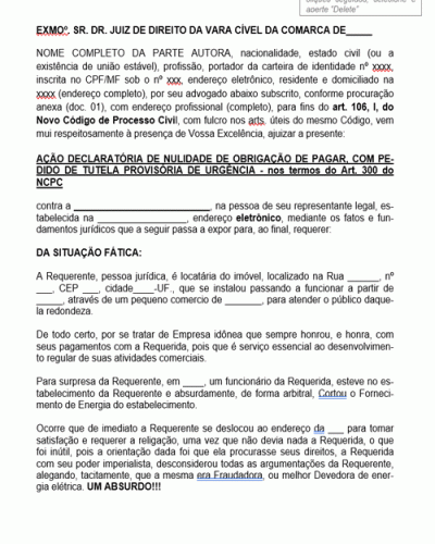 Modelo de Petição Inicial Concessionária de Serviços Públicos. Energia Elétrica