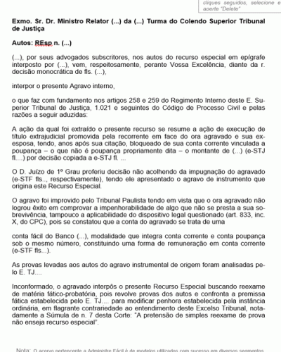 Modelo de Termo de Petição Provimento ao Recurso Especial