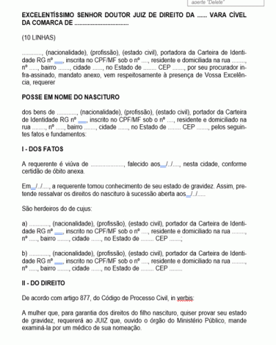 Modelo de Termo de Petição Posse em Nome de Nascituro Inicial