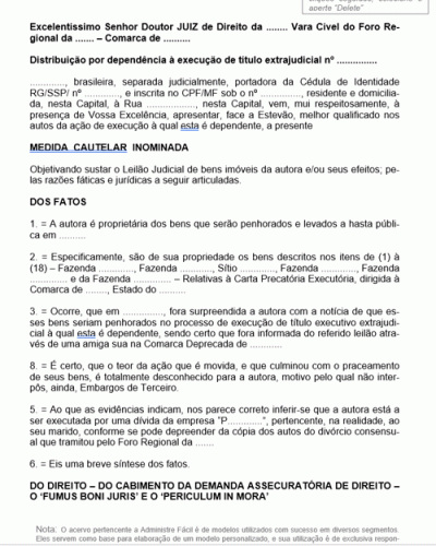 Modelo de Termo de Petição Medida Cautelar Inominada de Suspensão de Leilão