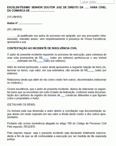 Modelo de Termo de Petição Insolvência Civil Contestação