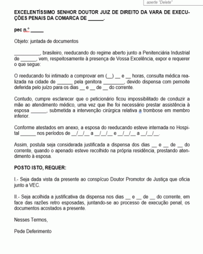 Modelo de Petição Pedido Juntada de Documentos Comprovação de Consulta Médica