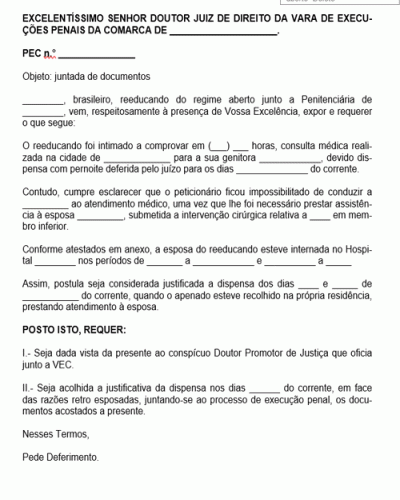 Modelo de Petição Pedido Juntada de Documentos Execução Penal Comprovantes da Dispensa Autorizada