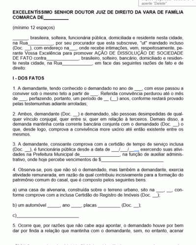 Modelo de Petição Ação de Dissolução de Sociedade de Fato União Estável