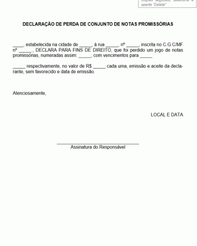 Modelo de Declaração de Perda de Conjunto de Notas Promissórias - Modelo Simples