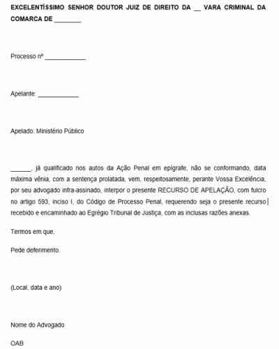 Modelo de Apelação Criminal Lei Maria da Penha Regime Inicial Fechado