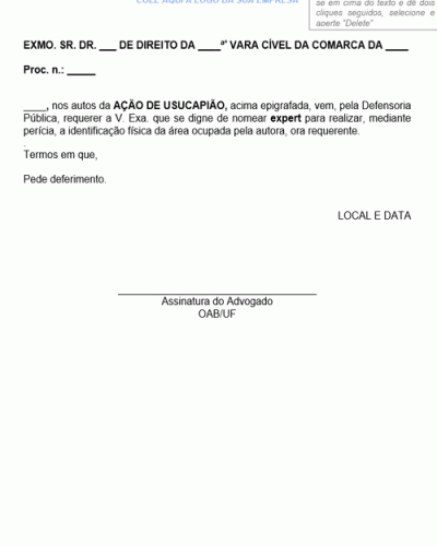 Modelo de Petição Intermediária Nomeação de Perito